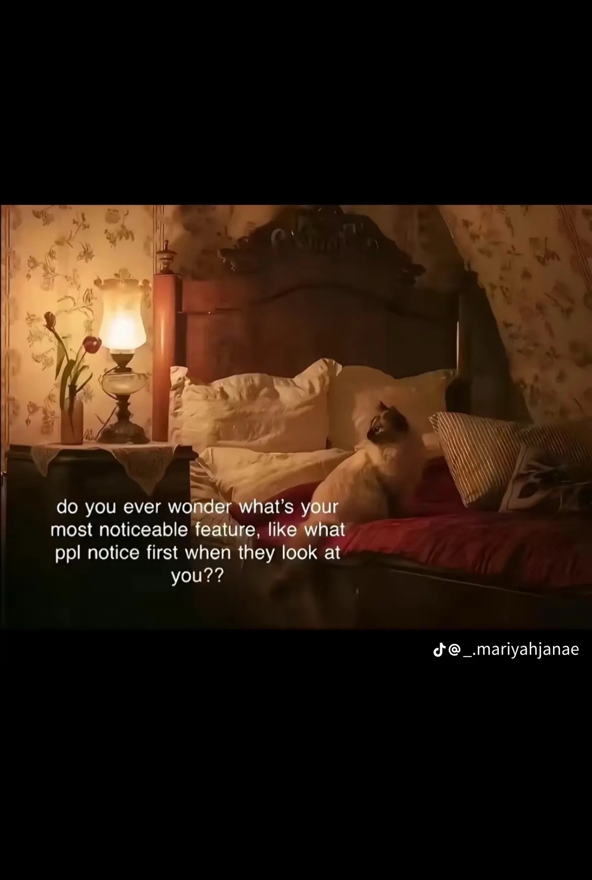 @danidadolll
