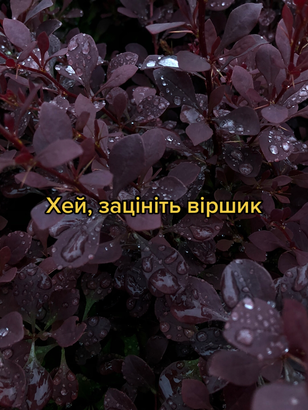 @Щебече радіомаяк