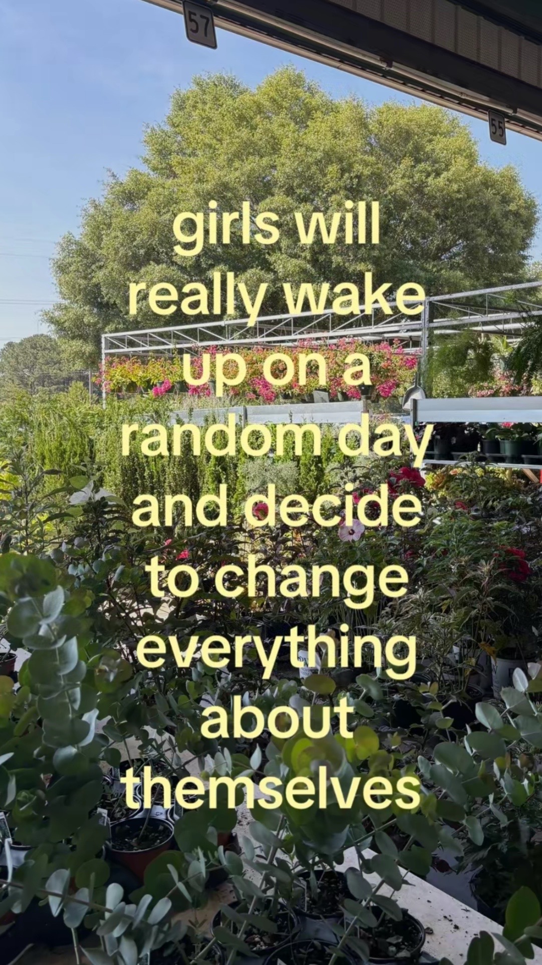 @V.
