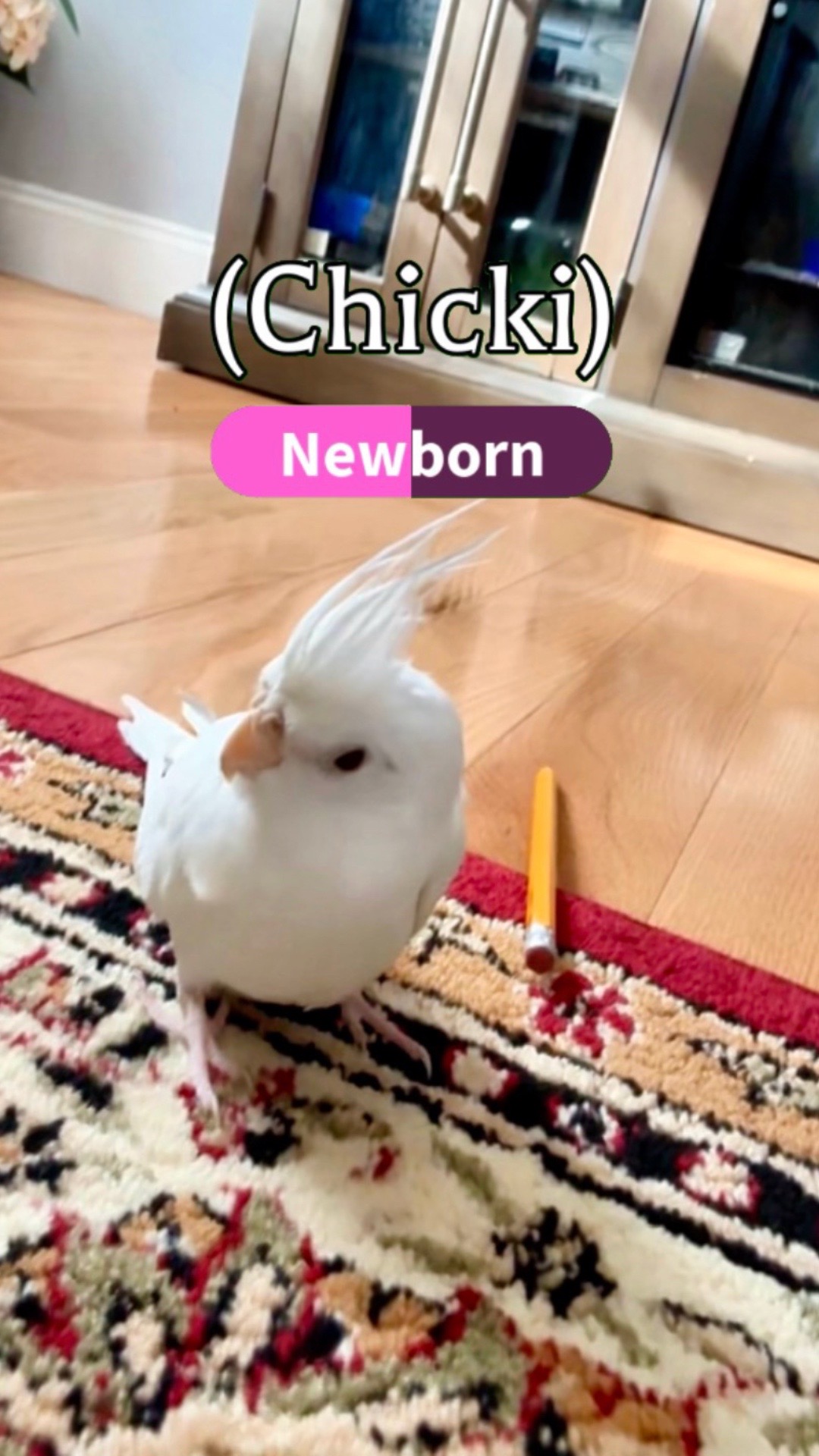 @`&middot;.&middot;★ 𝓓𝓲𝔂𝓪 ★&middot;.&middot;&acute;