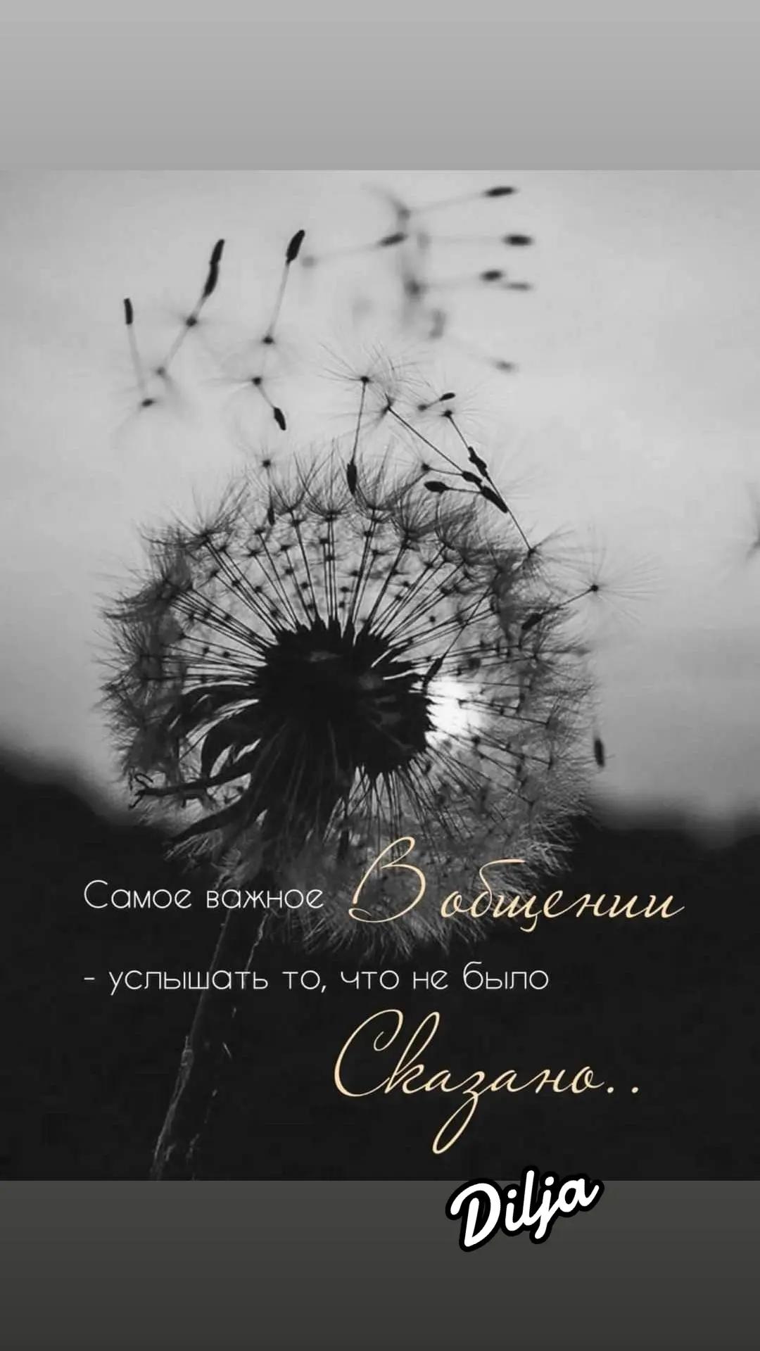 @ДИ Малая