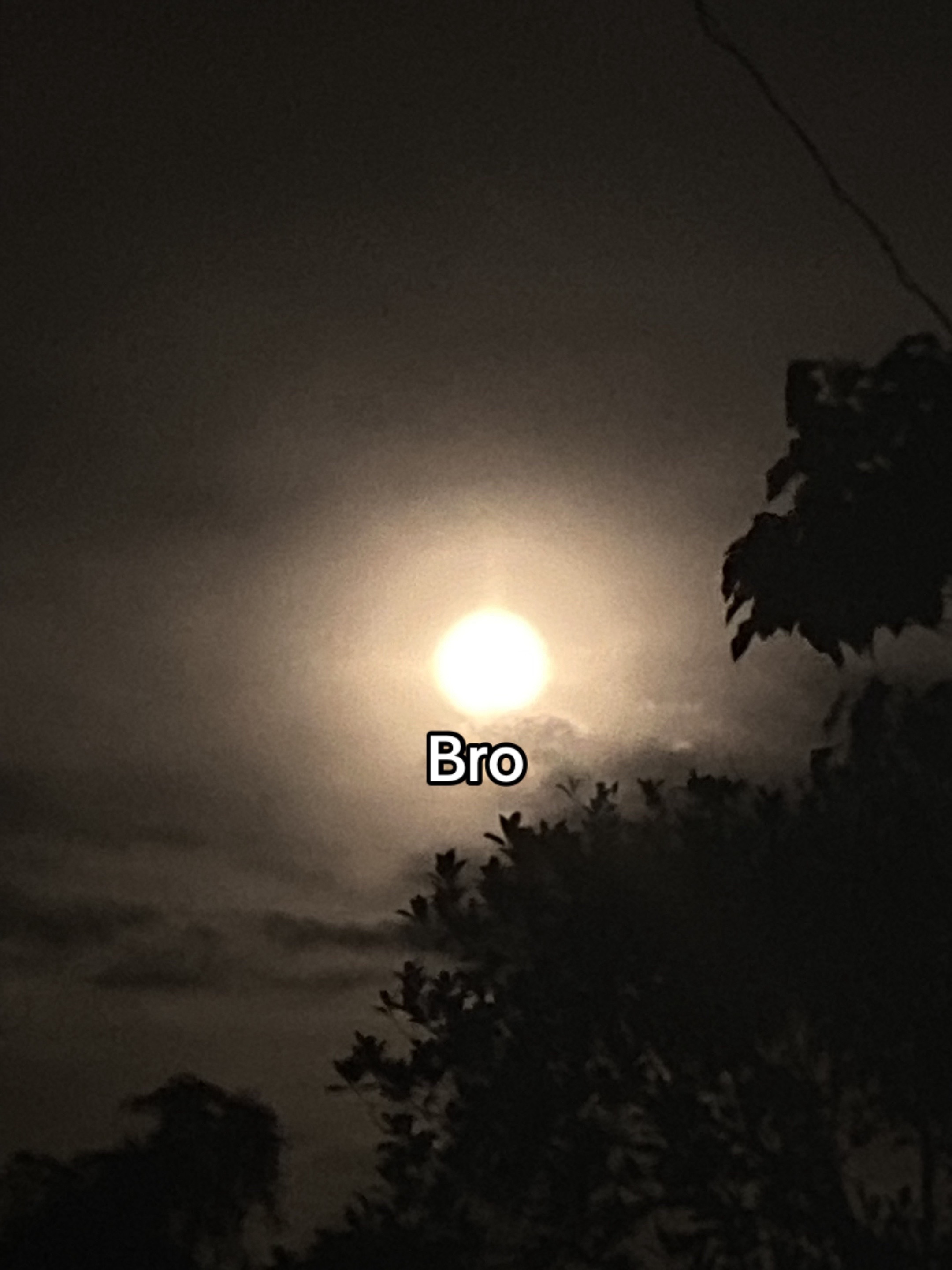 @ℛ𝒽𝒾𝒶𝓃💘