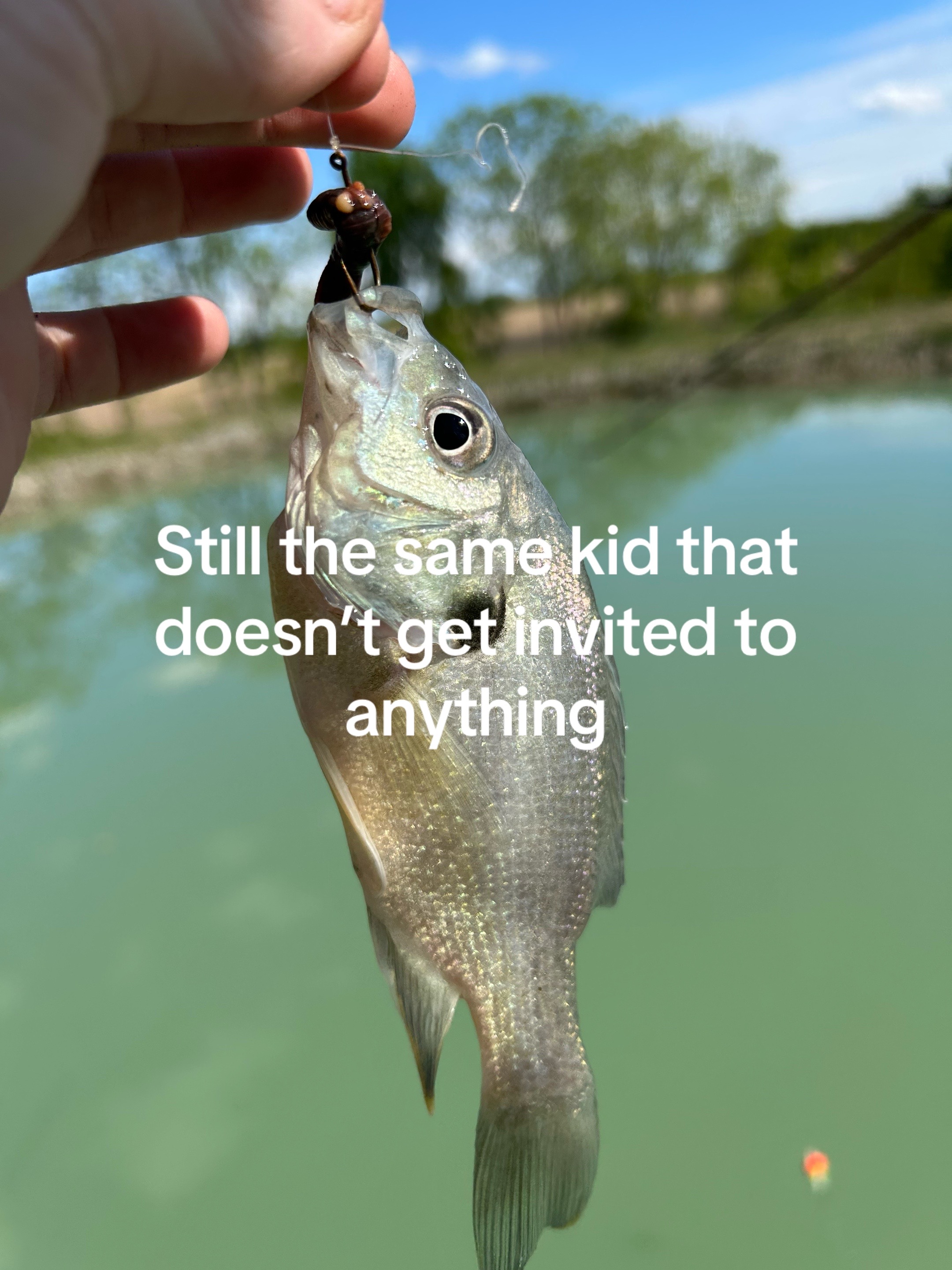 @dumbcountry