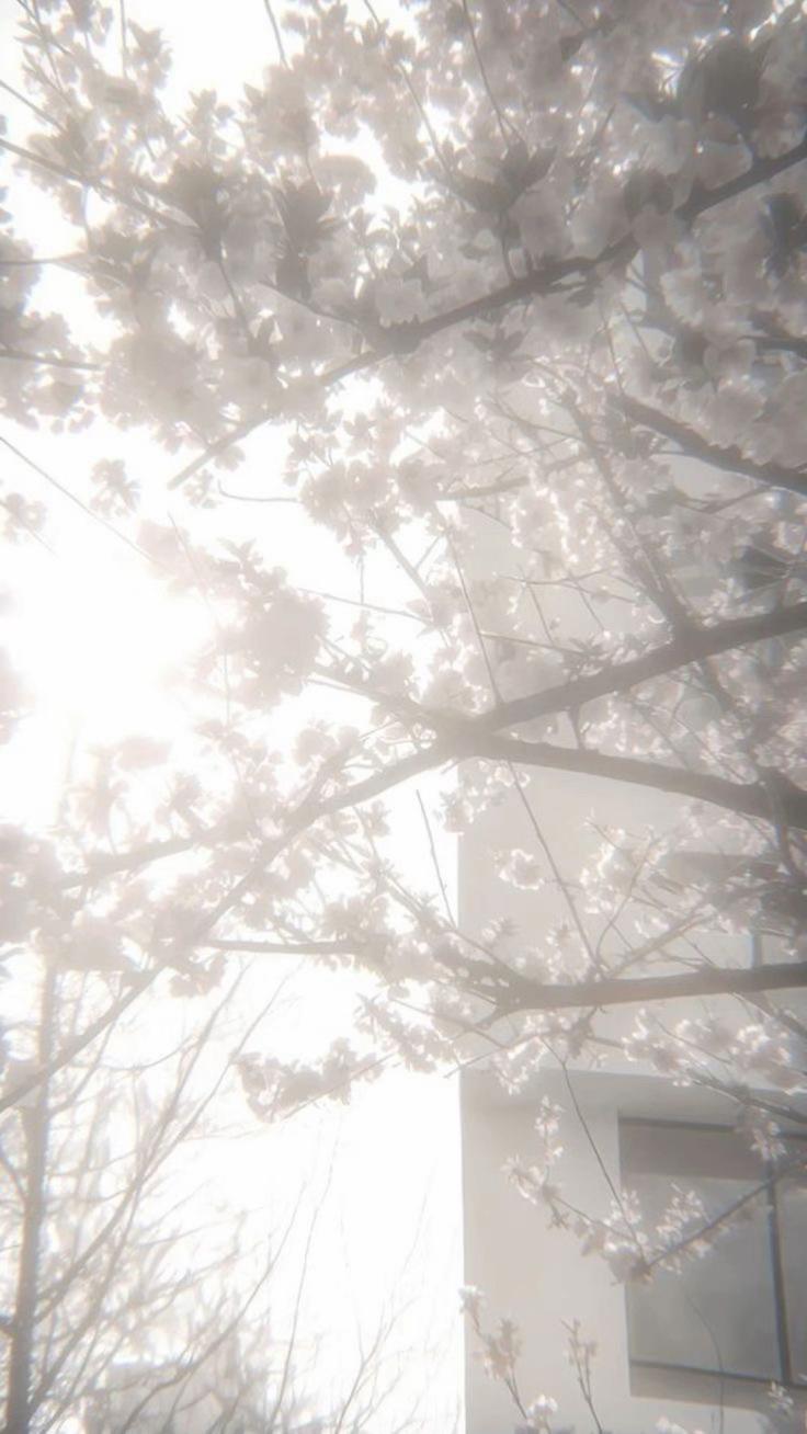 @ᯓ ★ ᖇIᑎᗩ ᒪOᐯEᔕ ᔕᗩᗰ 🌙 ★ ᯓ
