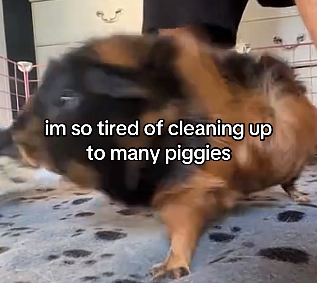@l3ootyTicklez