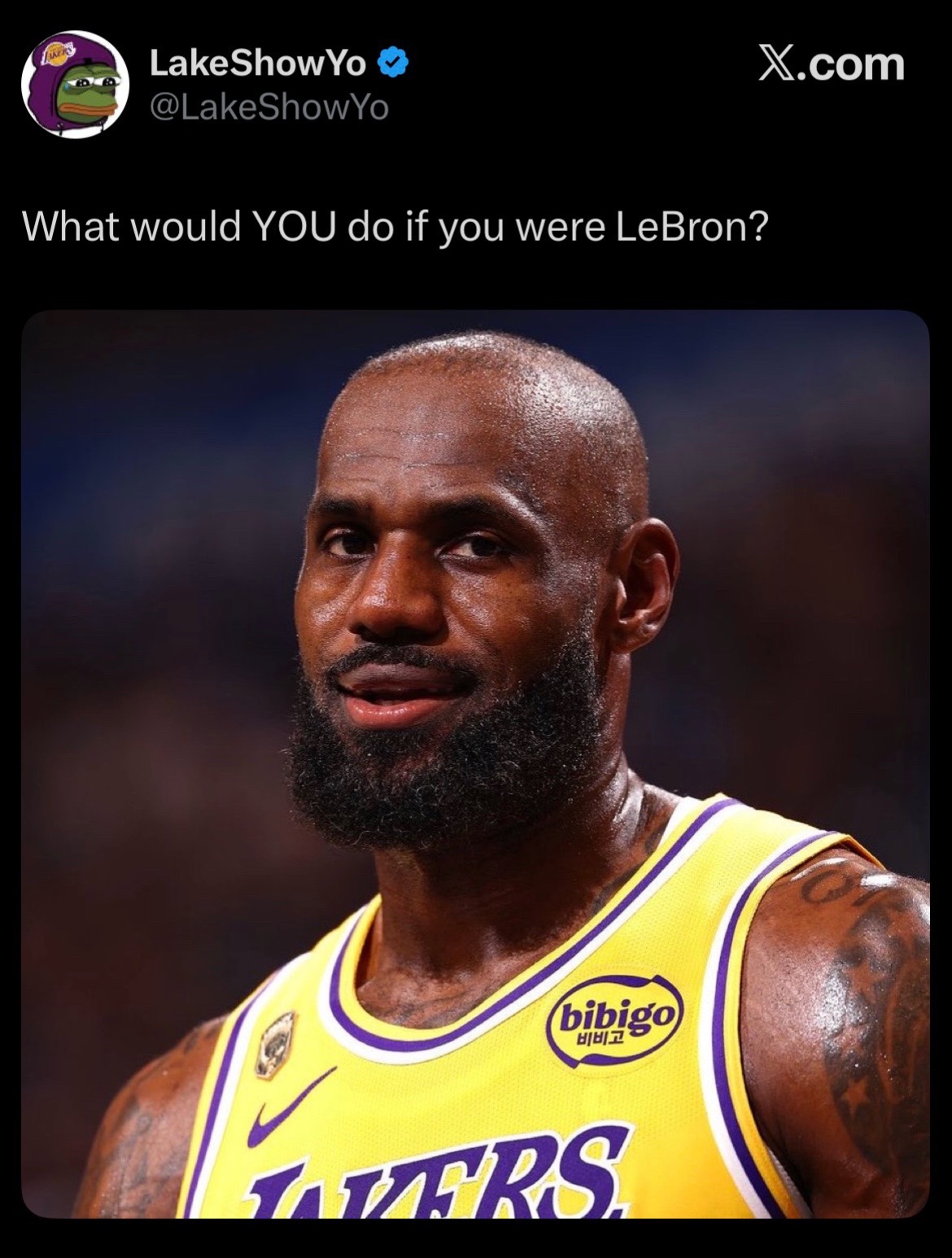 @Hoops Plug