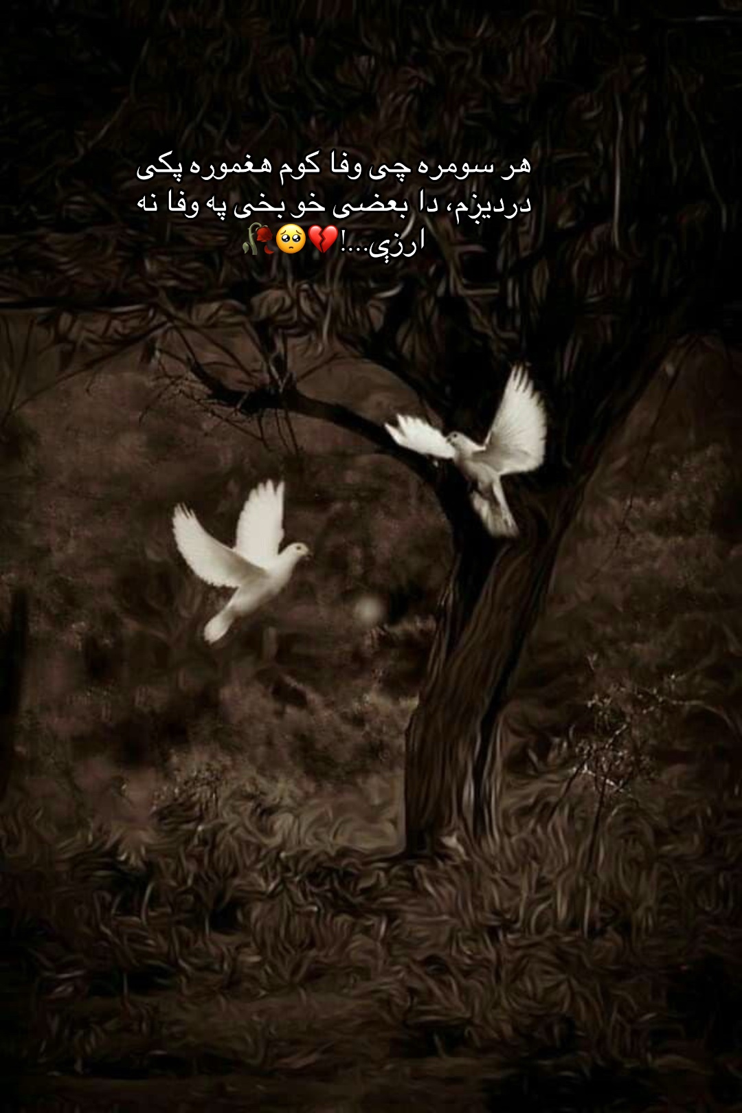 @Shåbo…🧚🏻♀️