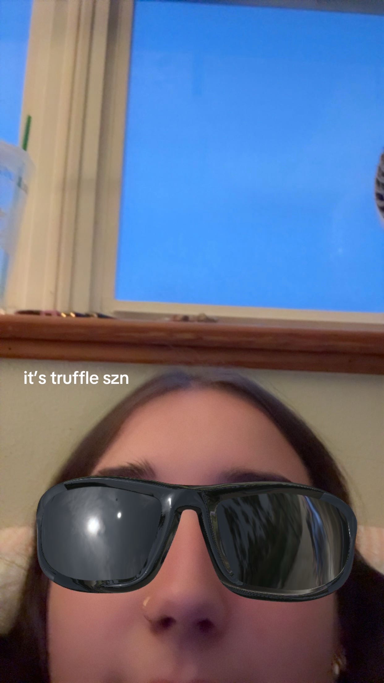 @natalie 🪼