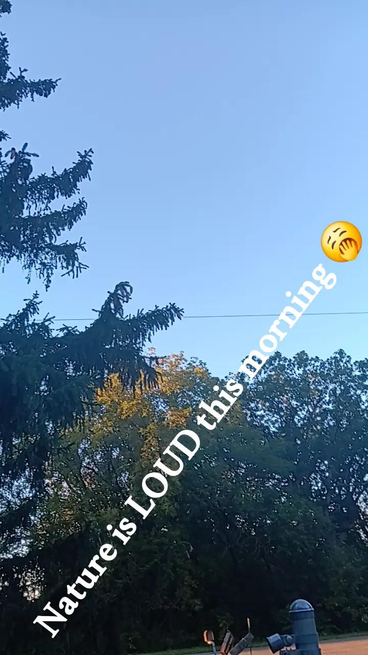@🌻BONNBONN😬