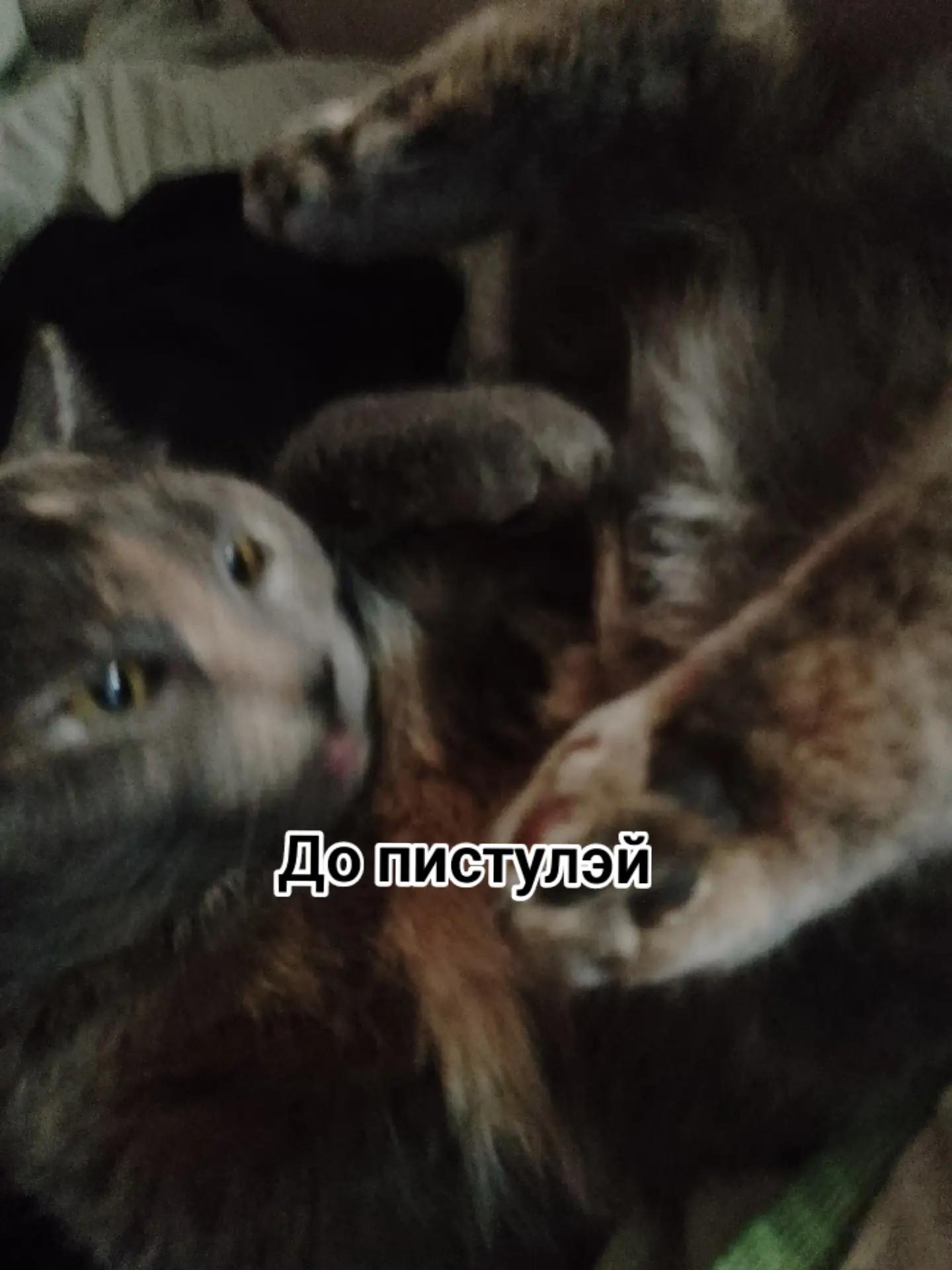 @Satanist ⸸⸸⸸