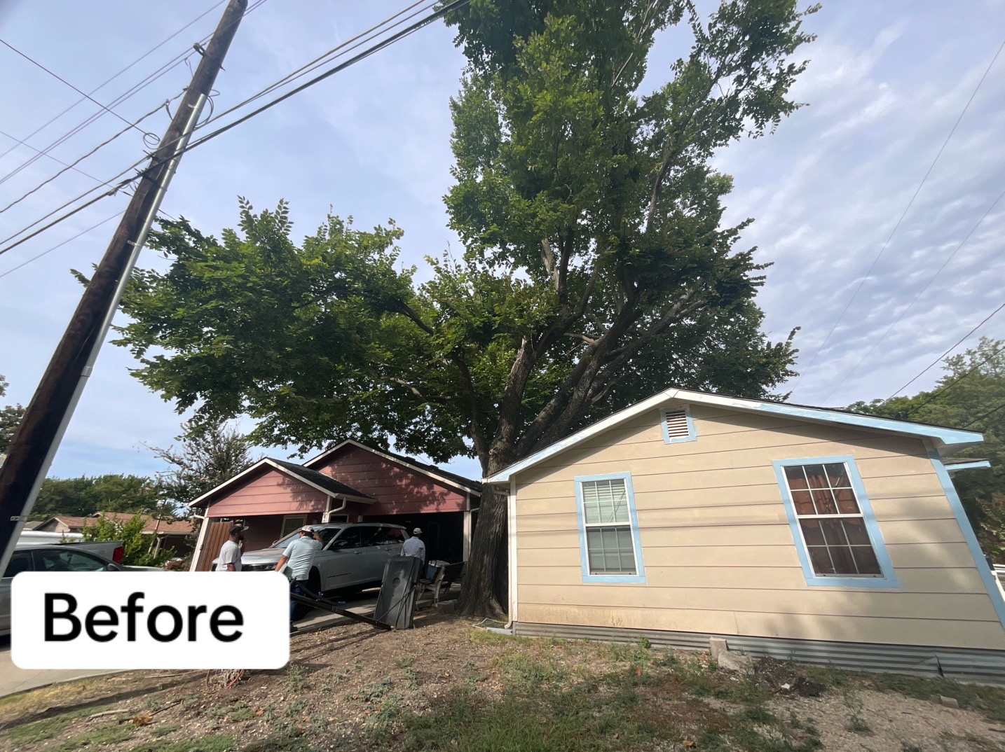 @Live Oak Tree Service