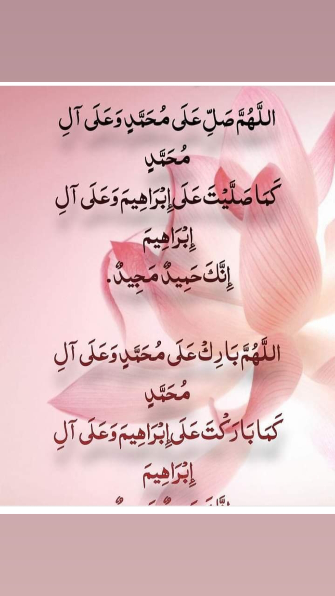 @maryam jamila