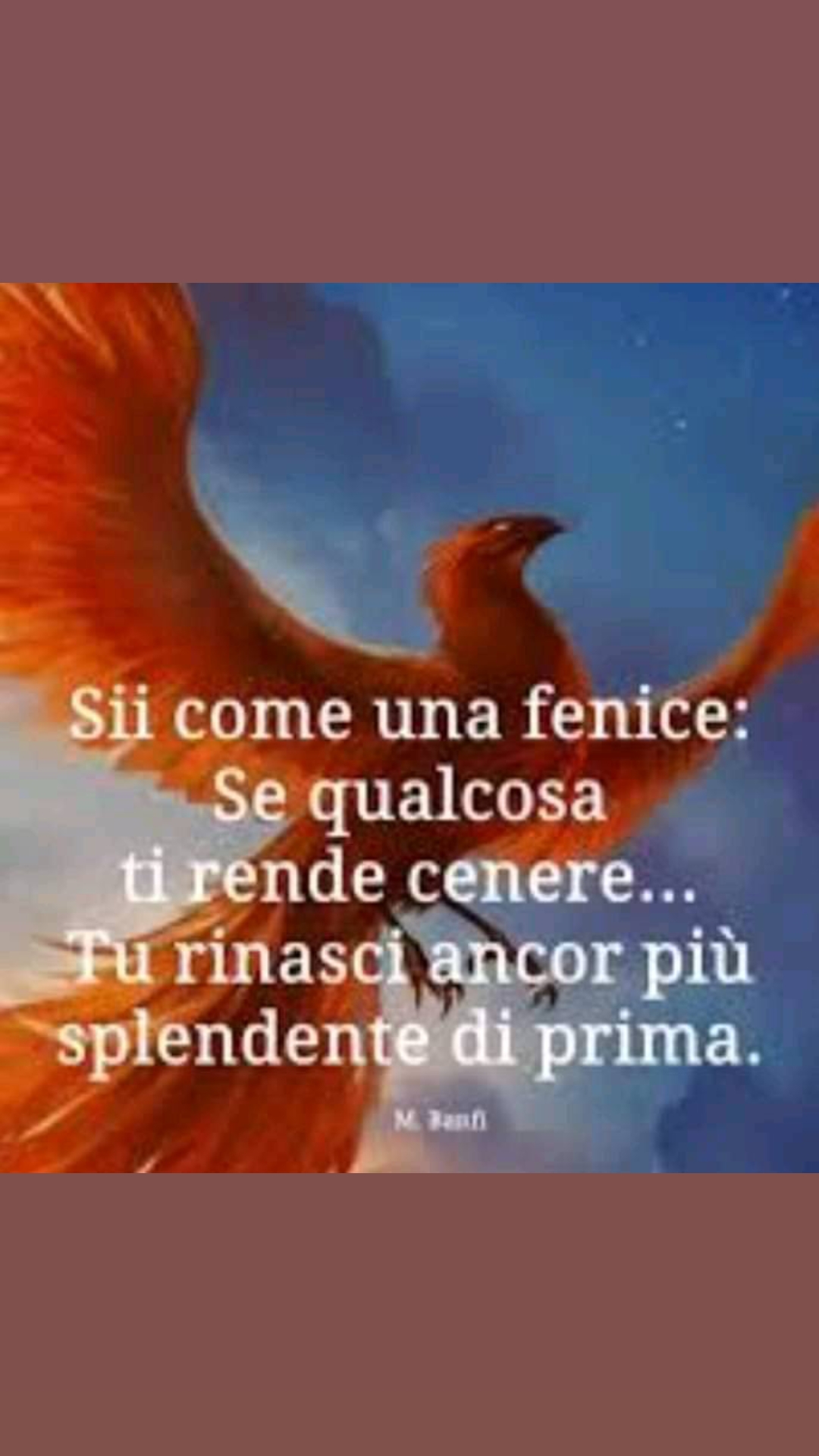 @Sabrina Renda