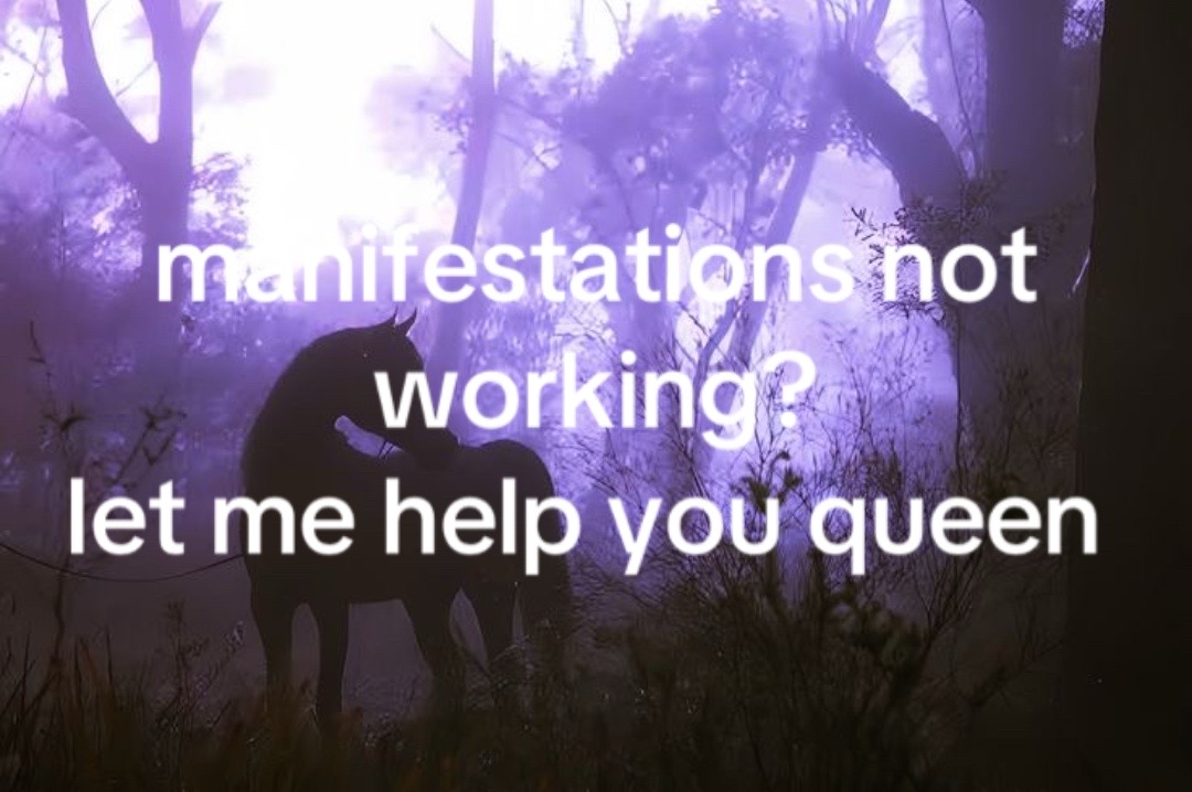 @lottie ꨄ