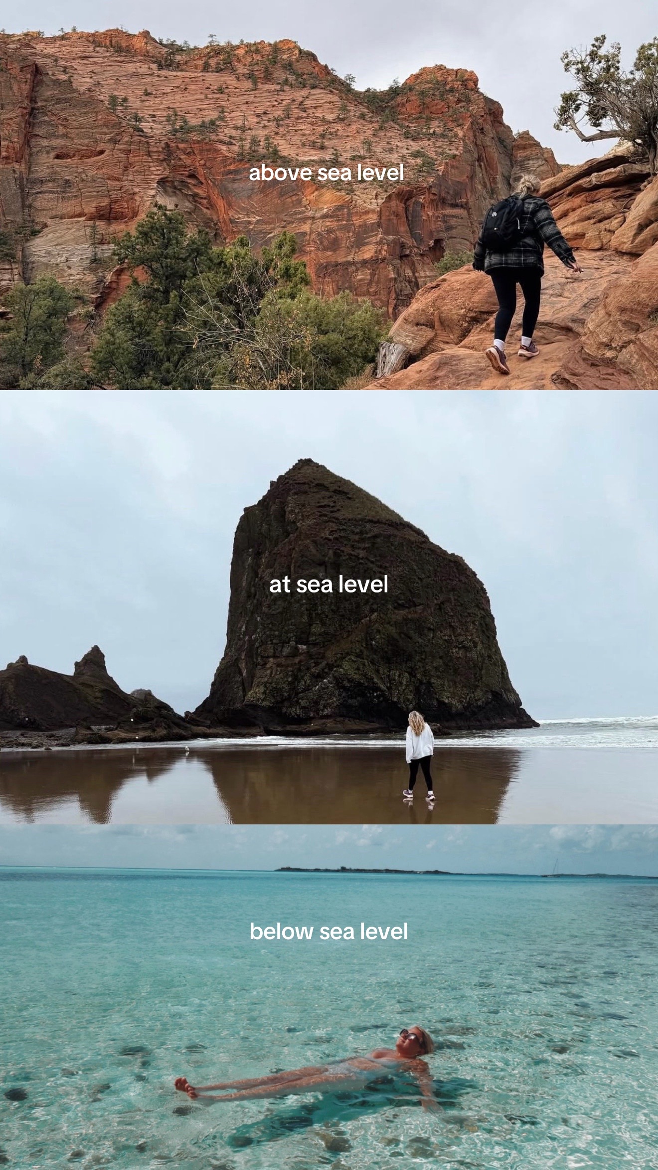 @lexikump 🧸