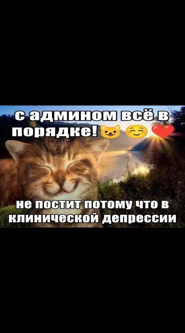 @лиля ананас