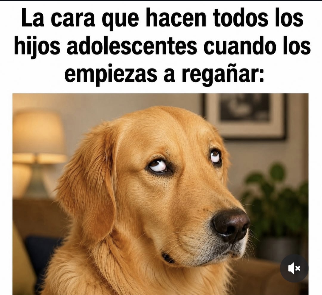 @S'alma H.