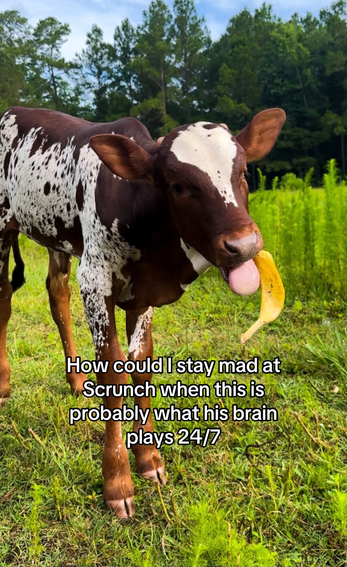 @TwoGuysandSomeLand