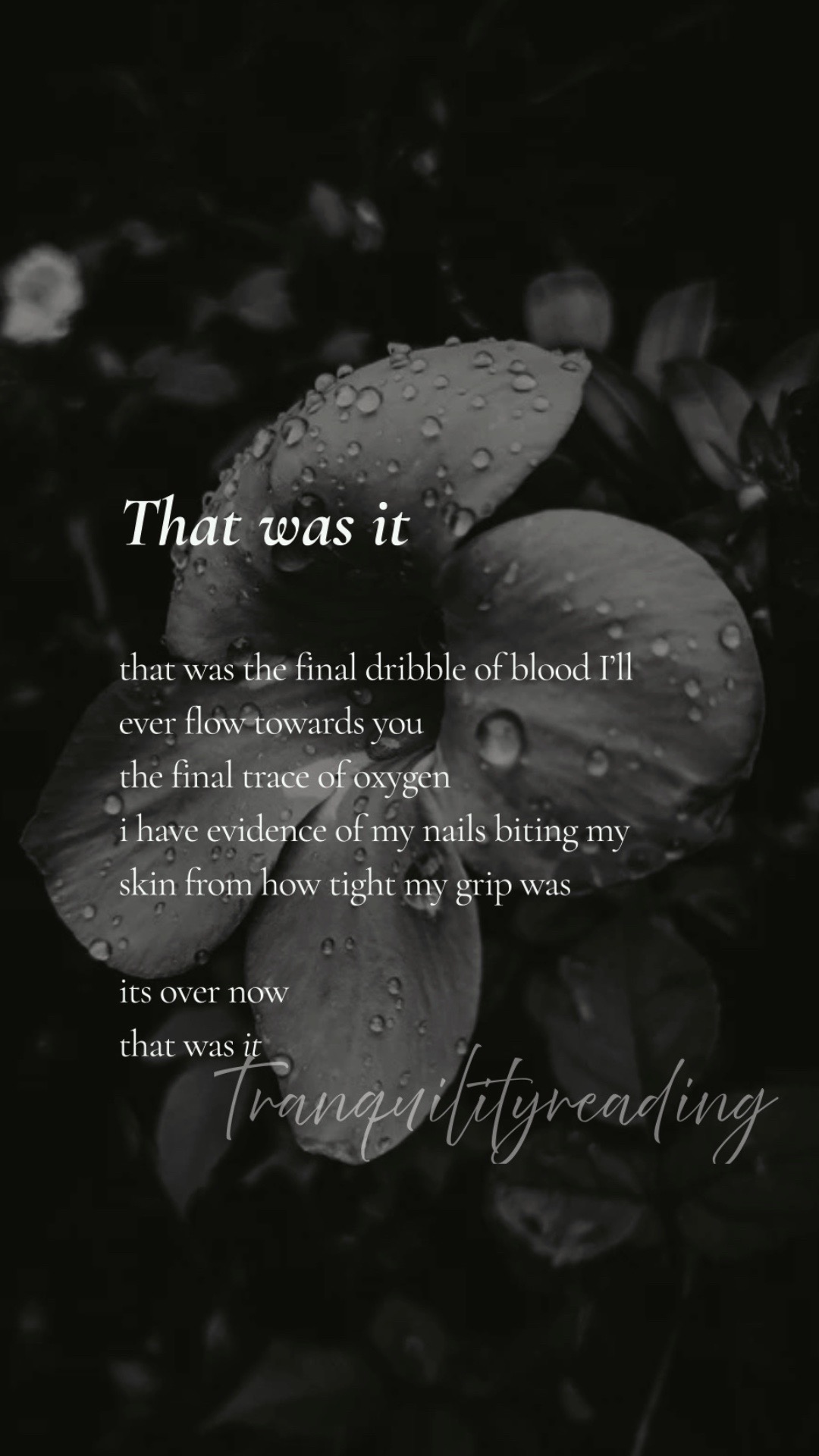 @Tranquilityreading ๏พ'๐ถ ๐