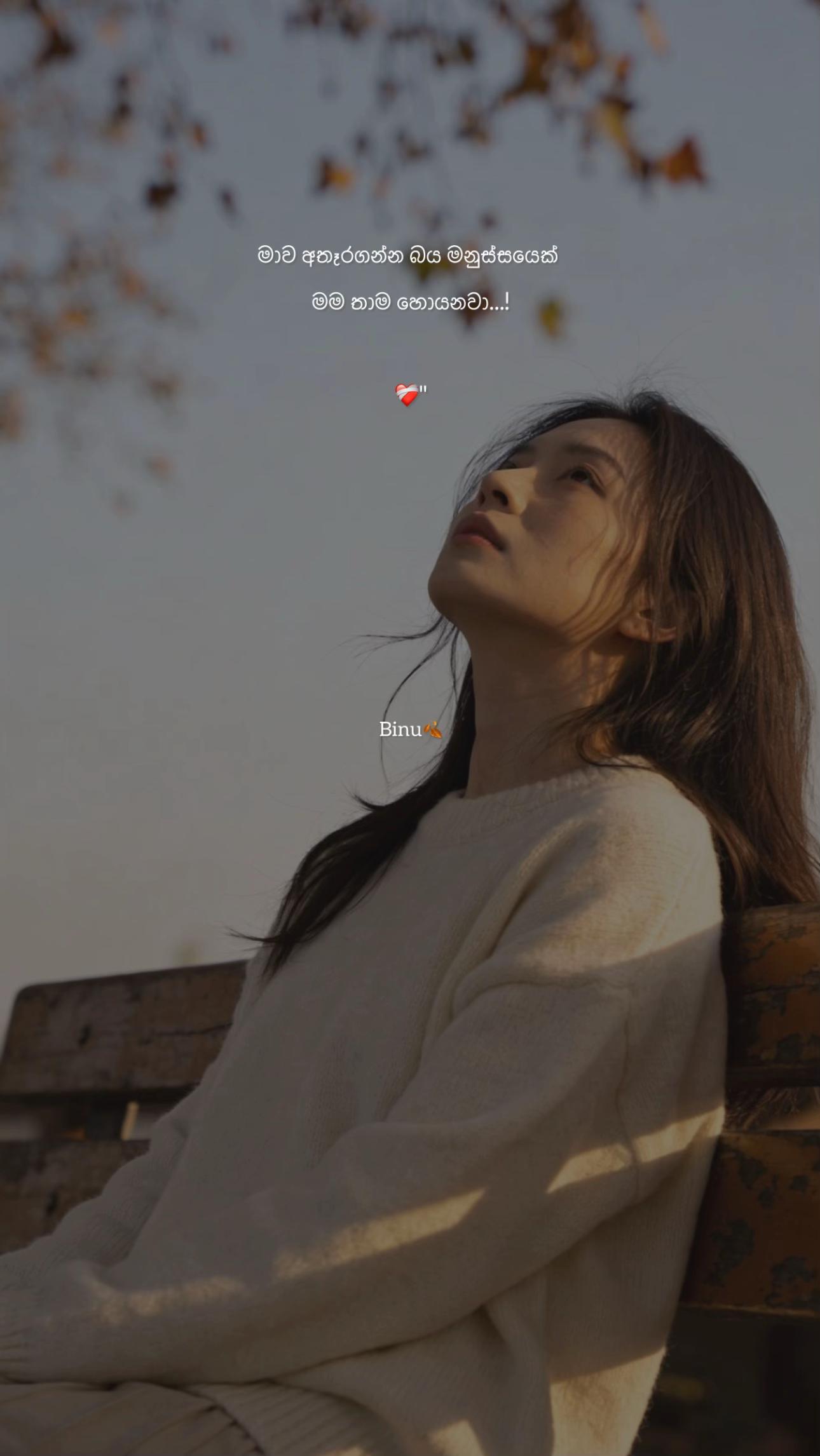 @B I N U🍂