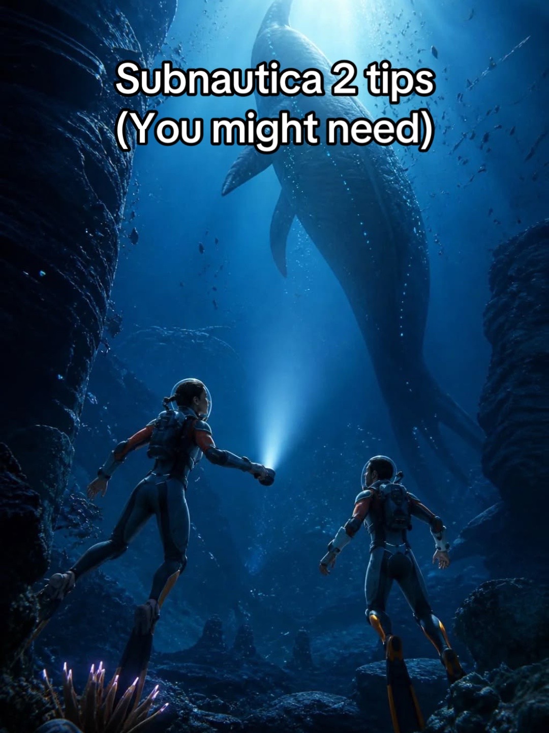 @arqi