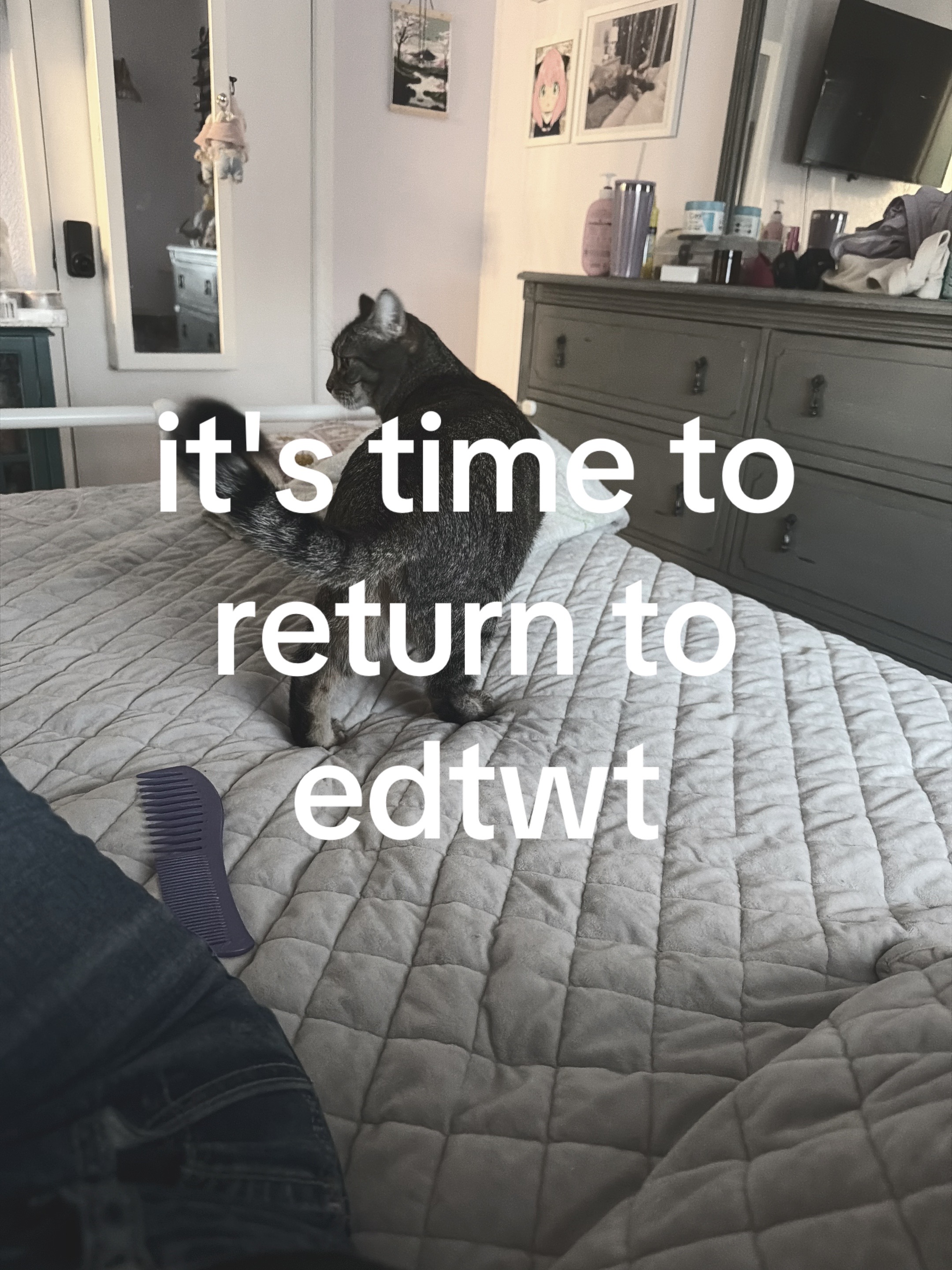 @Brie 𐙚
