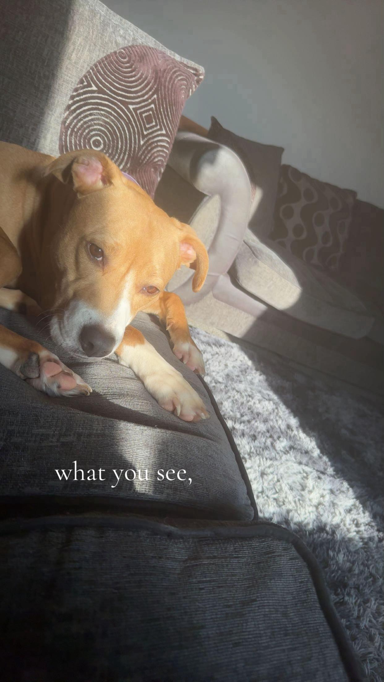 @miss lois eilidh ♡ ̆̈