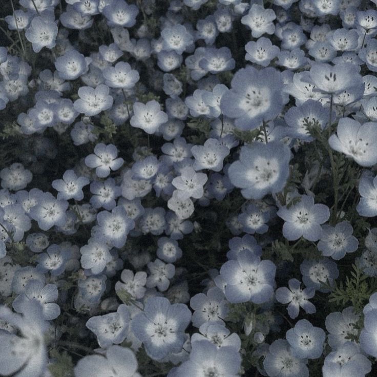 @˚₊‧꒰ა 𝒜𝓃𝑔ℯ𝓁 ໒꒱ ‧₊˚