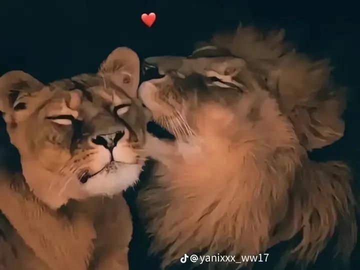 @anna_12_14_