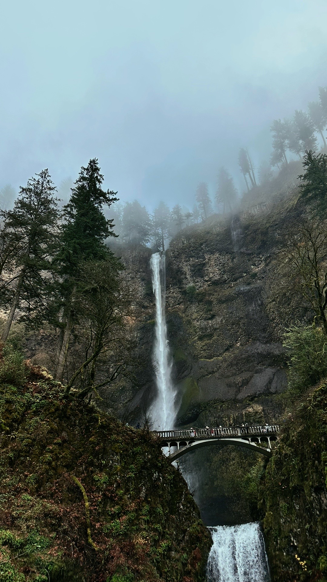 @Pacific Hikes