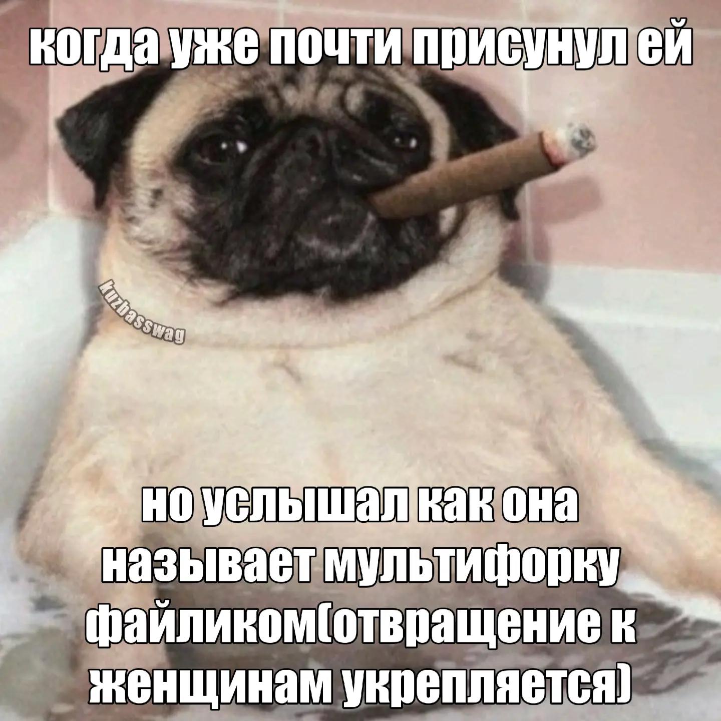@теребонькер/tg: kuzbasswag