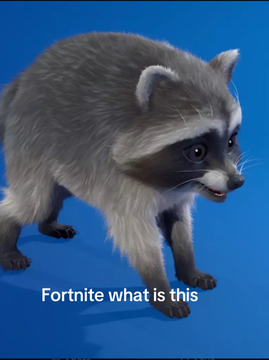 @huntdagoat1467