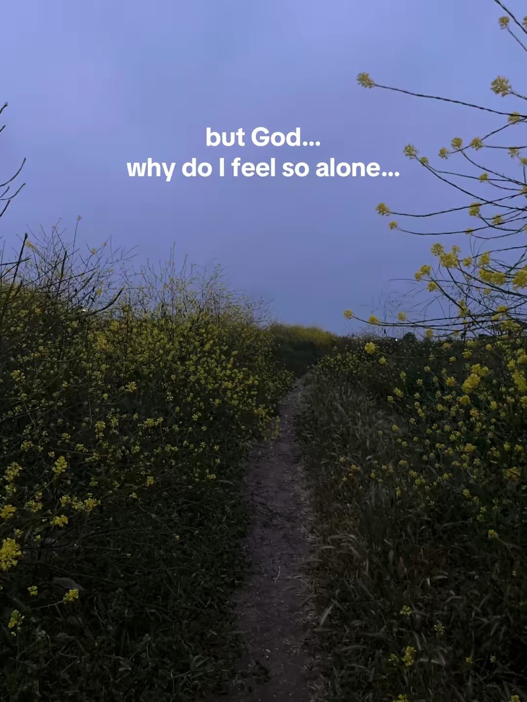 @𝓰 𝓻 𝓪 𝓬 𝓮 ♡