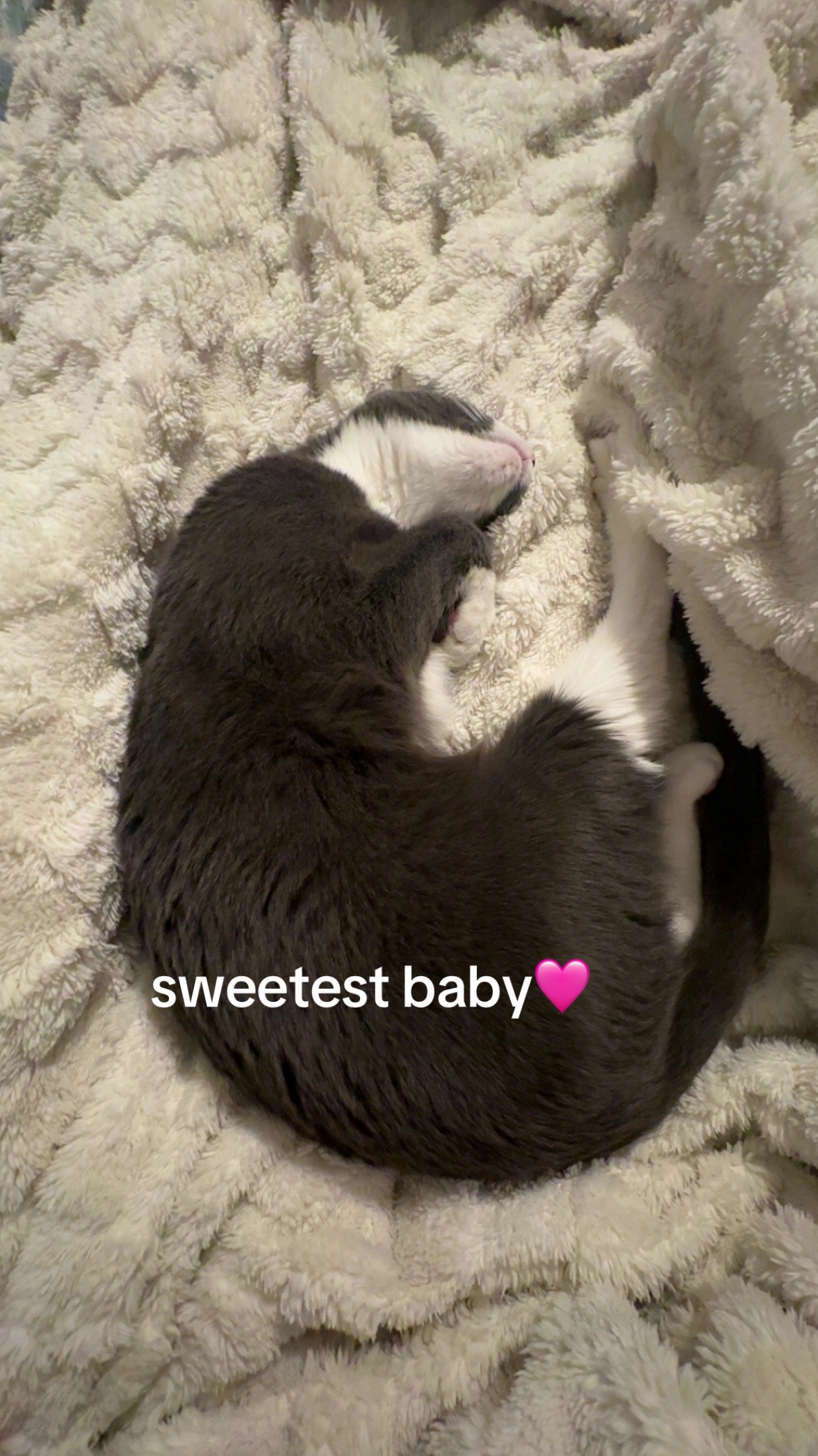 @maryyy🍄🧚🌙🐈&zwj;⬛