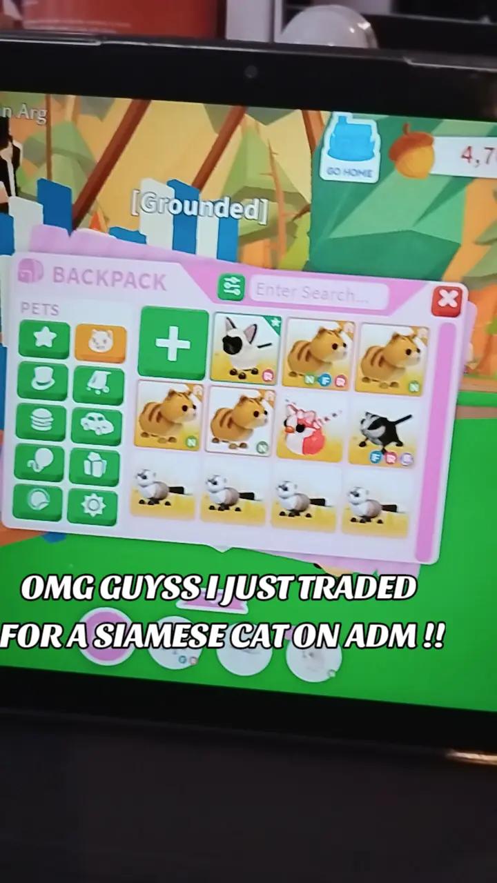 @୨୧ 𝒉 ᥫ᭡