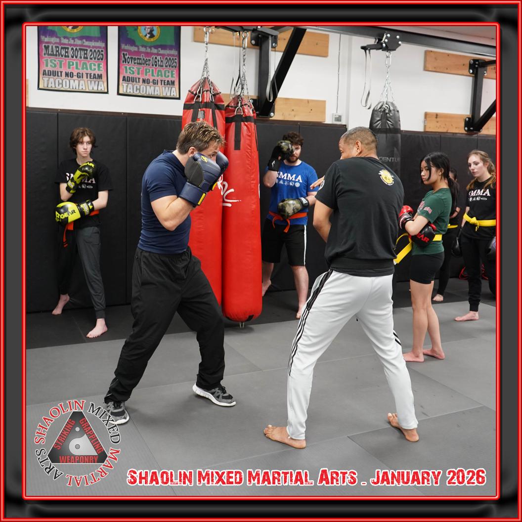 @shaolinmixedmartialarts