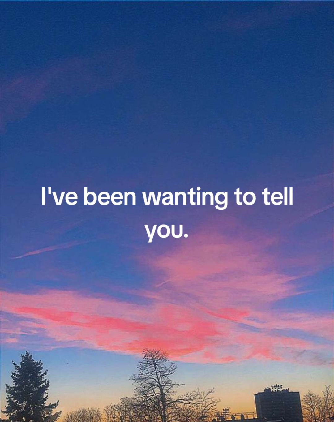 @Cody Stecyk👑