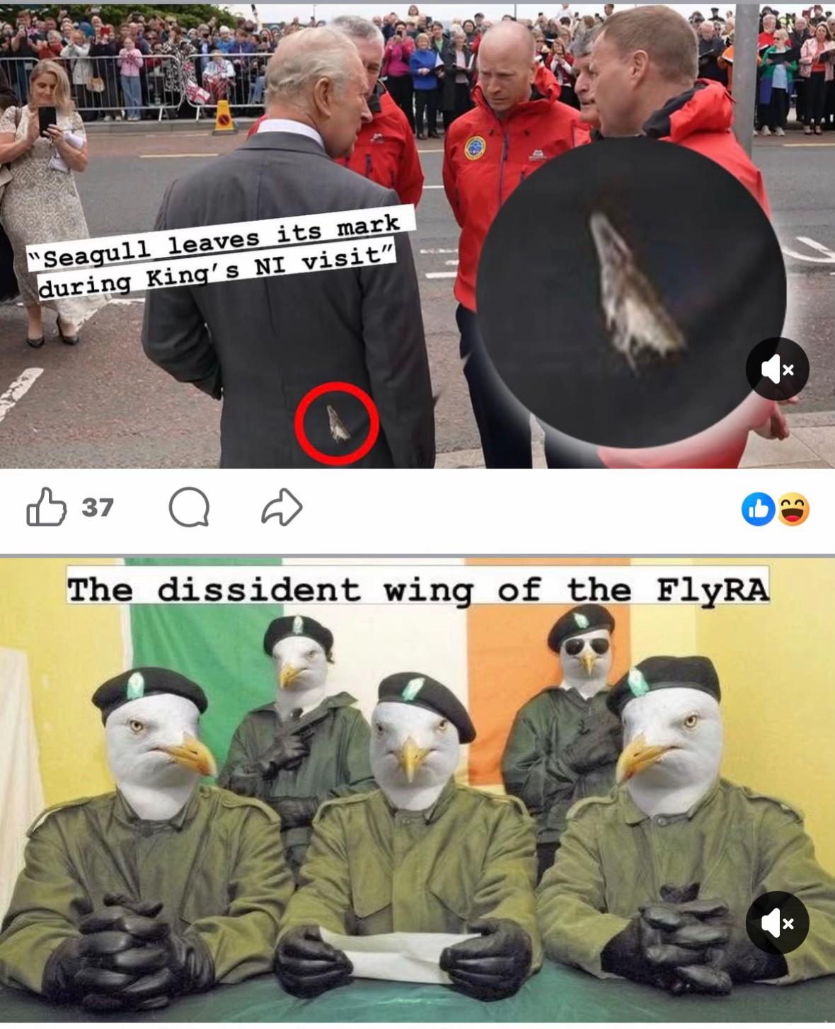 @Random dot org🤣😂👿😈🤬🤬😭😱