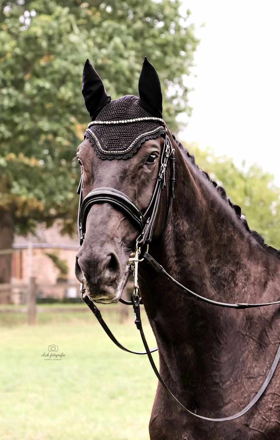 @Click Fotografie 💗✨
