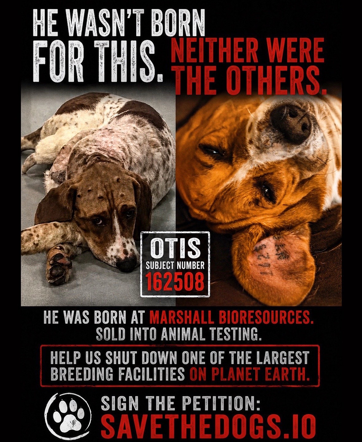 @Otis