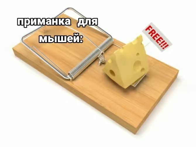@энфоренс