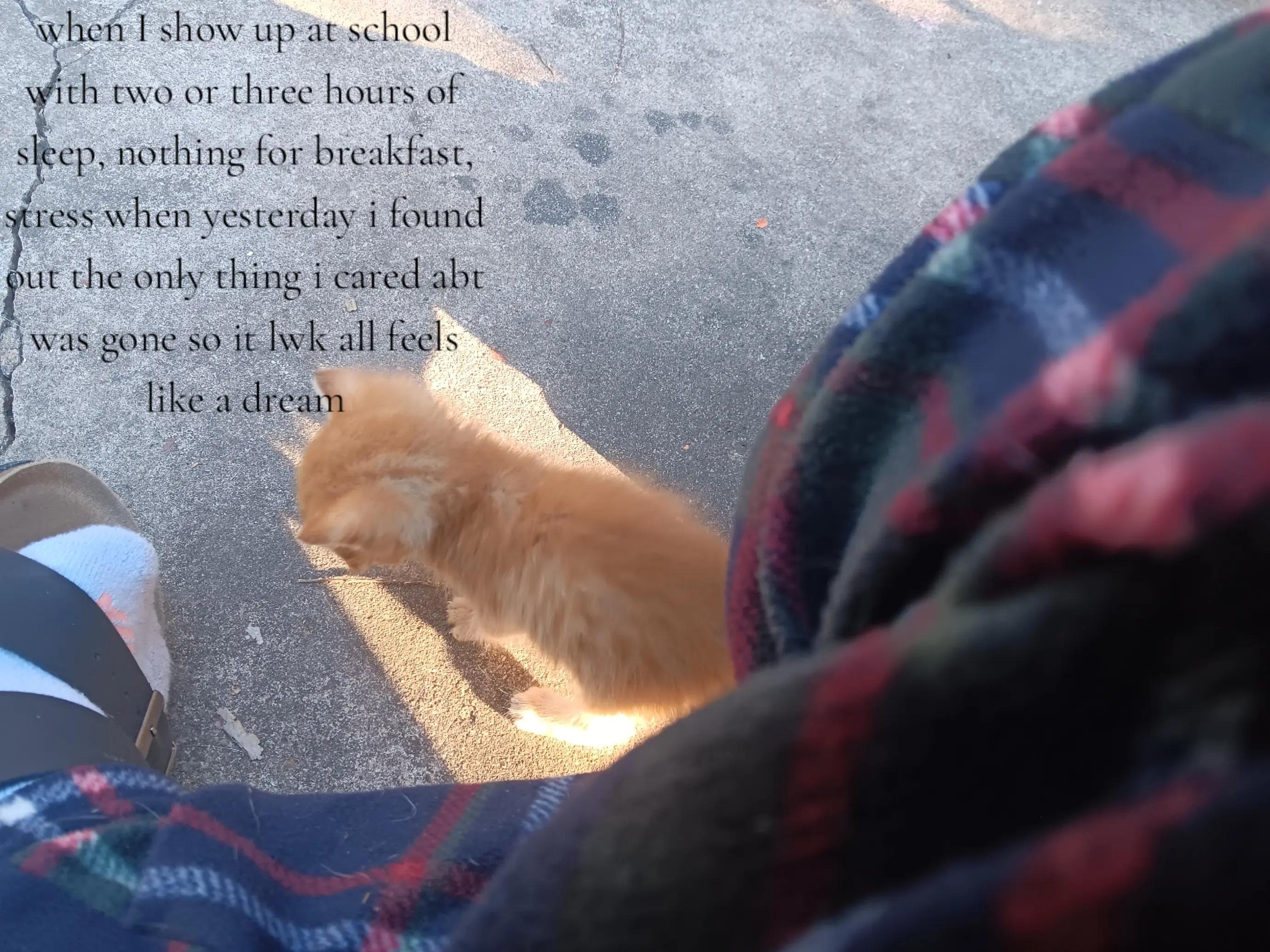 @`&deg;-~☆~-&deg;`