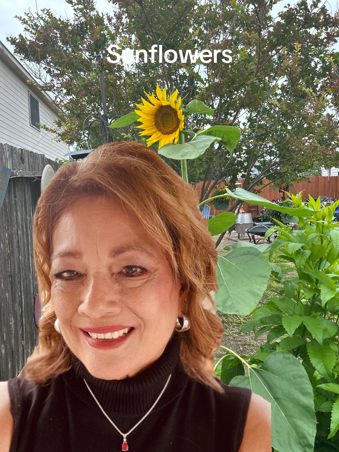 @lynda_satx