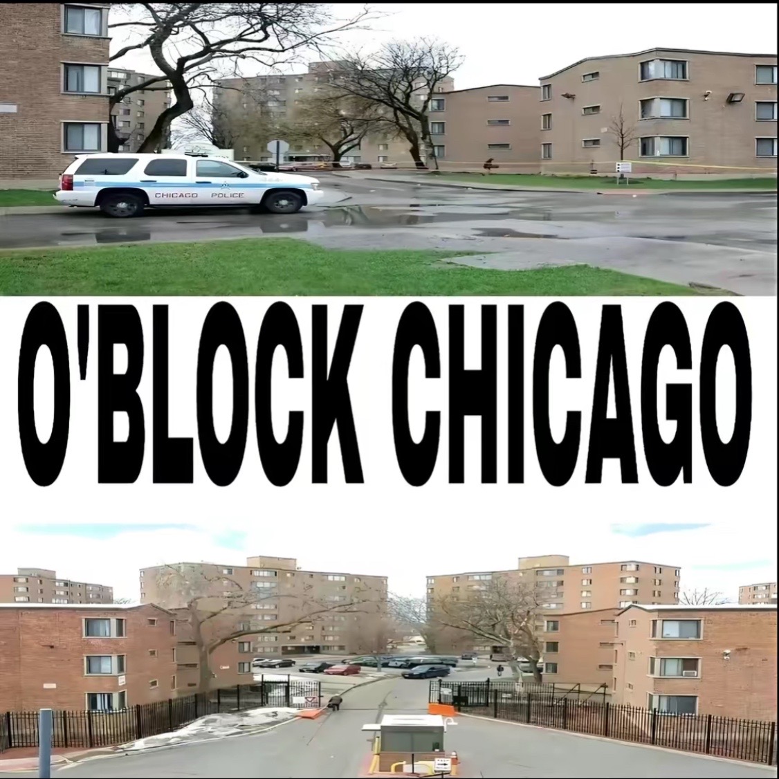 @𝘭𝘢𝘯𝘥𝘰