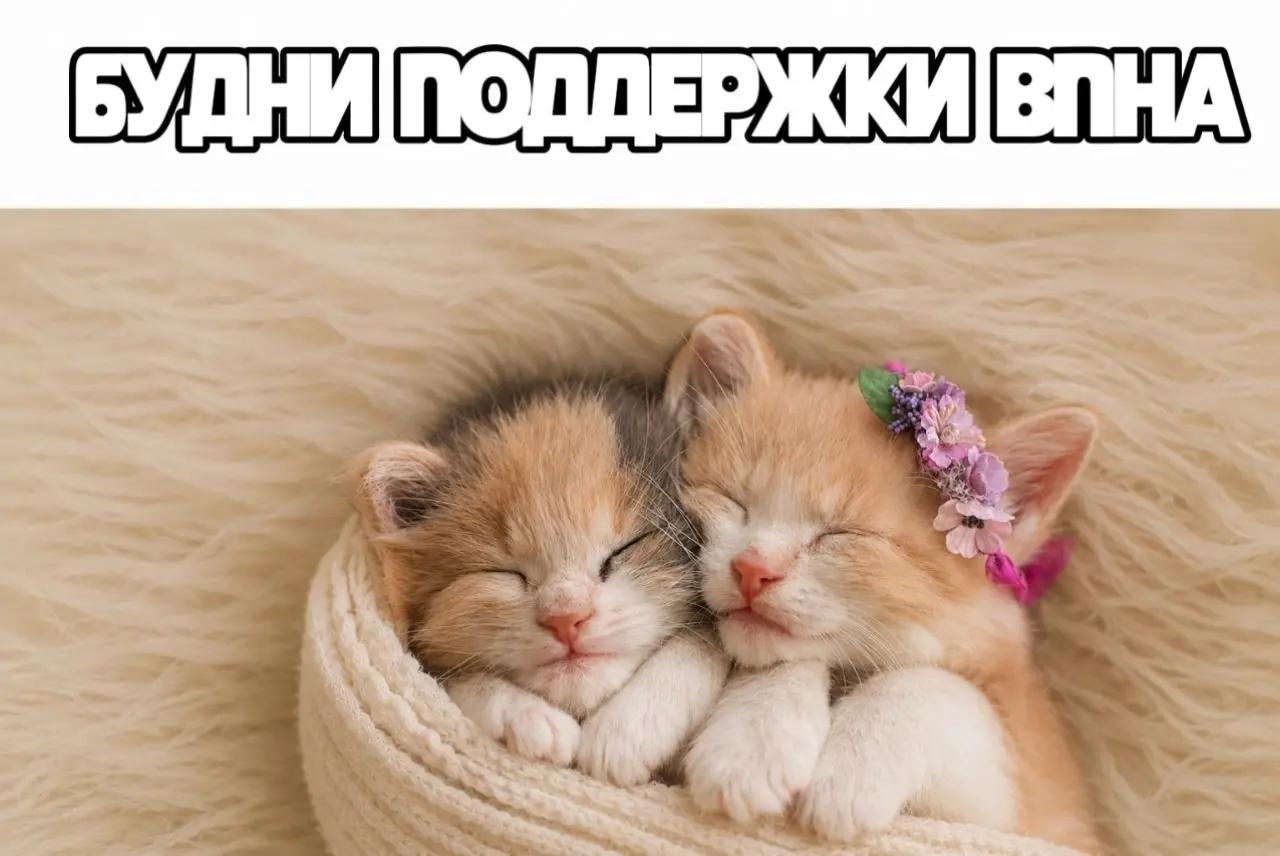 @Виззиксヤ