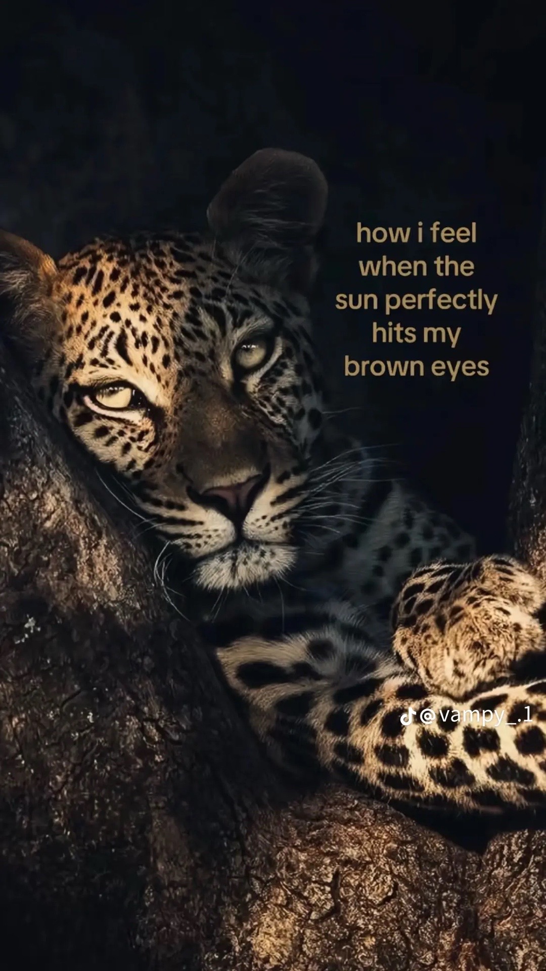 @🤷🏿&zwj;♀️