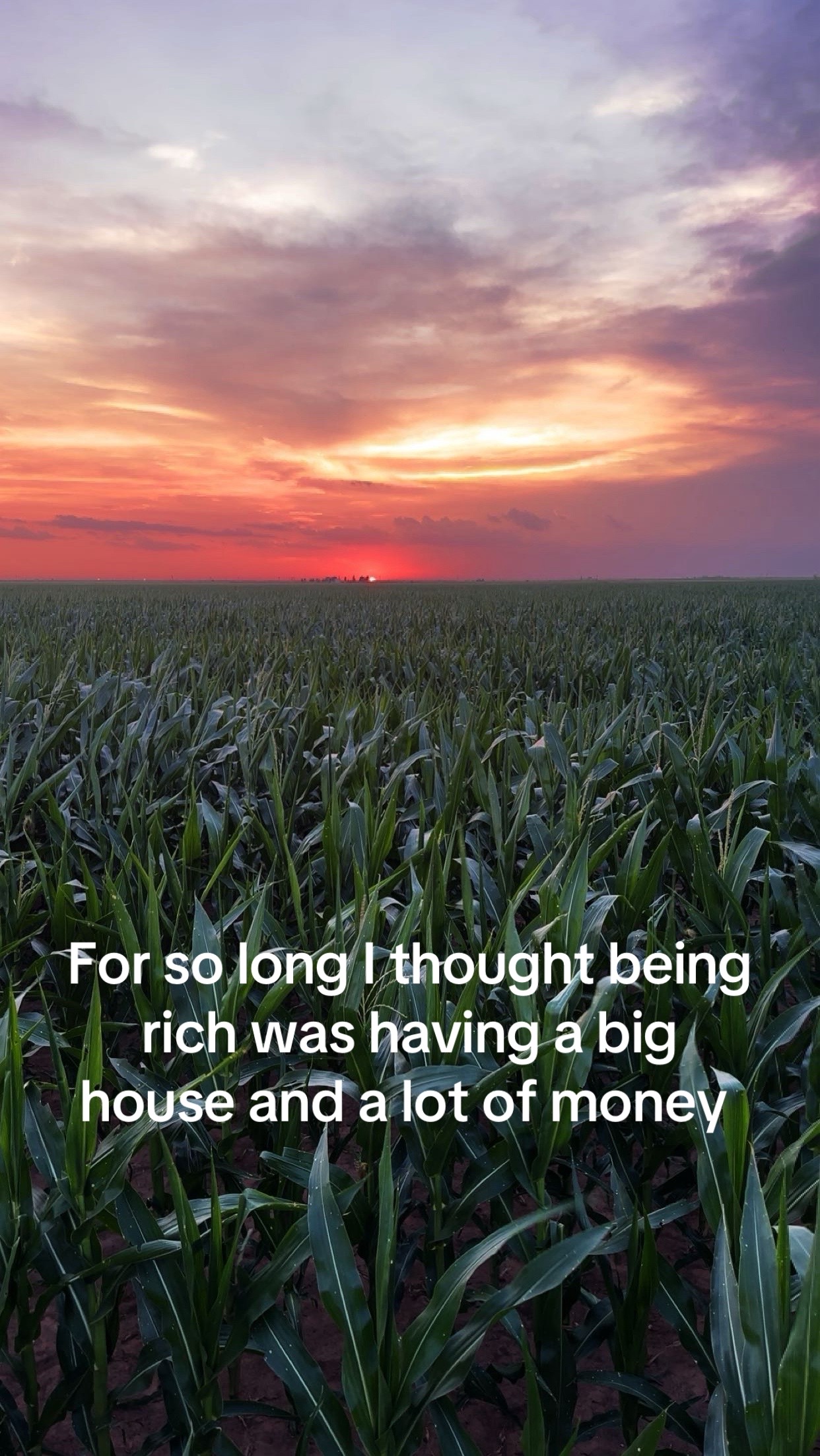 @TXAlternativeFarmer