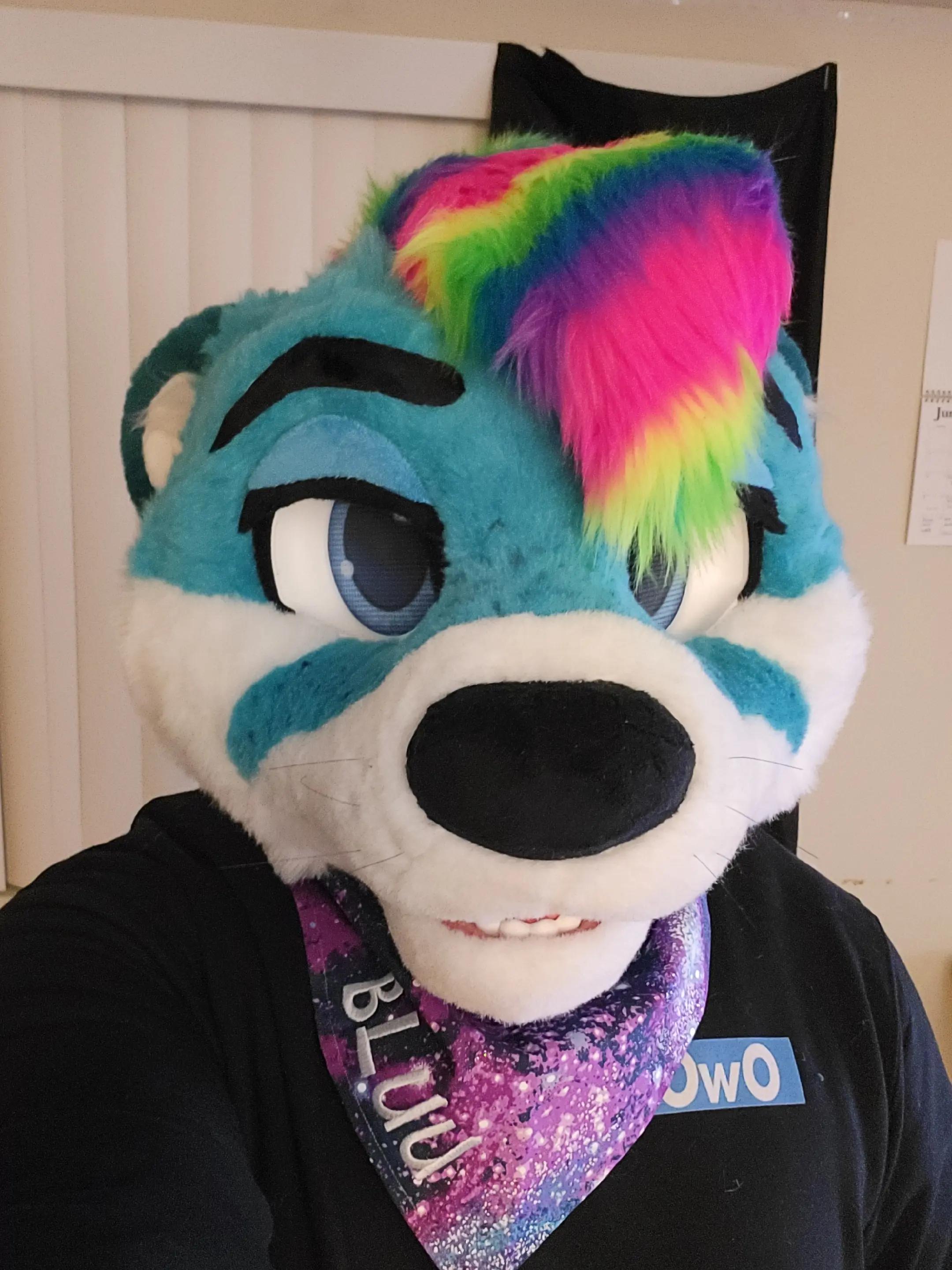 @Floofymass 🔜 AC 2026