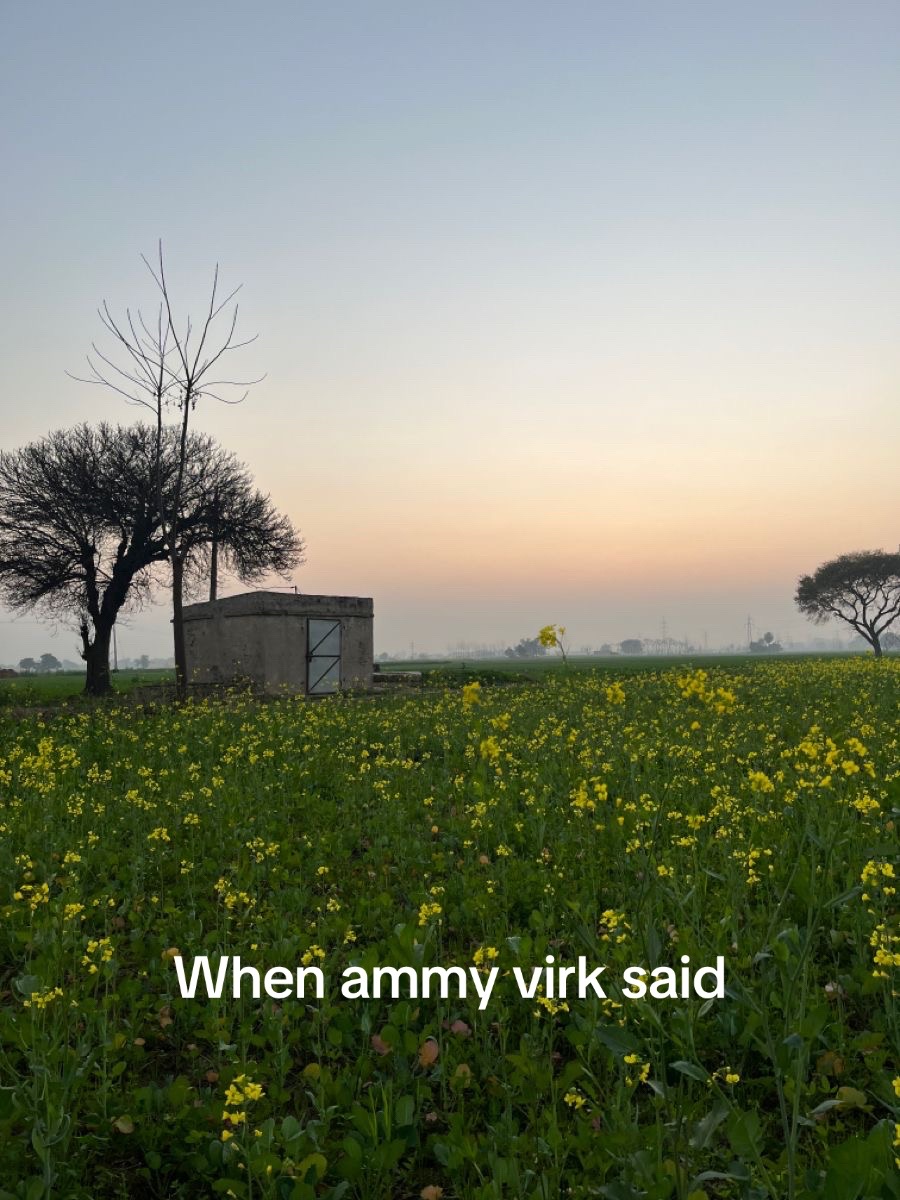 @thedesidairy