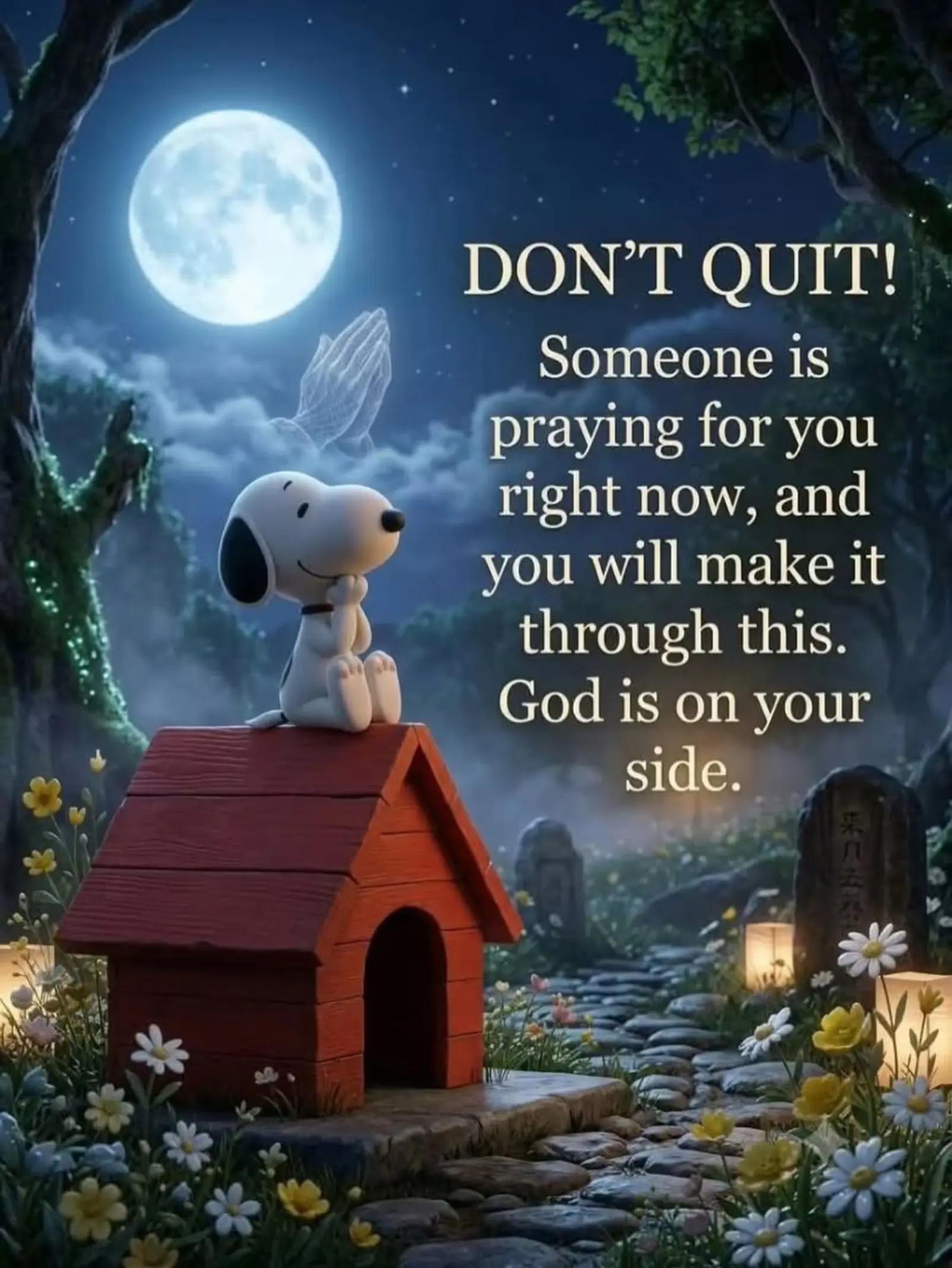 @Daily Inspiration